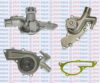 AQUAPLUS 85-3035 Water Pump